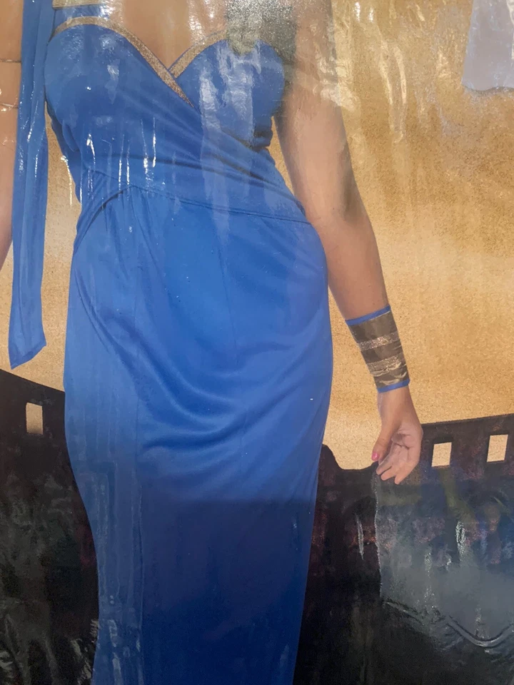 Nuevo Disfraz de Diosa Griega Adulto Talla Pequeña 6-8 EE. UU. Vestido y Brazos Puños Azul Dorado Foto 2 de 4