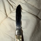 RARE Case XX USA 640045 Mother of Pearl Jack Knife New Stunning!!! — photo 4