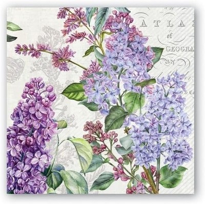 Michel Design Works Cocktail Napkins, French Lilacs- 2 Packs (814441)