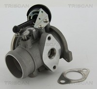 Triscan AGR Ventil 8813 29022 FüR Seat 6E1 Audi Arosa Lupo VW 6X1 Polo 8Z0 A2 1