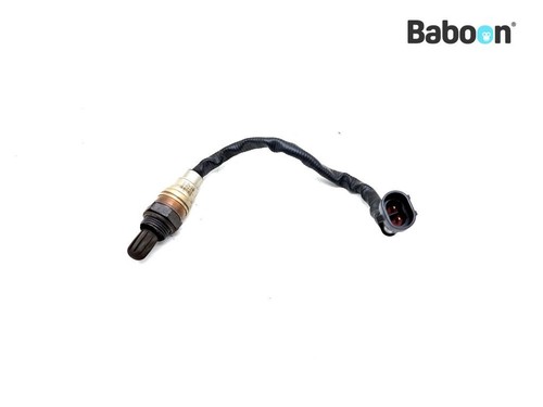 2009-2013 Harley-Davidson XL 883 N Sportster Iron Lambda Probe (27719 ...