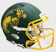 NORTH DAKOTA STATE BISON IRISH NCAA Riddell SPEED Authentic Football Helmet