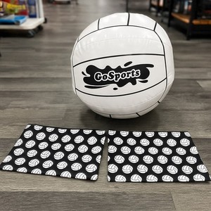 Volleyball bag and blow up ball