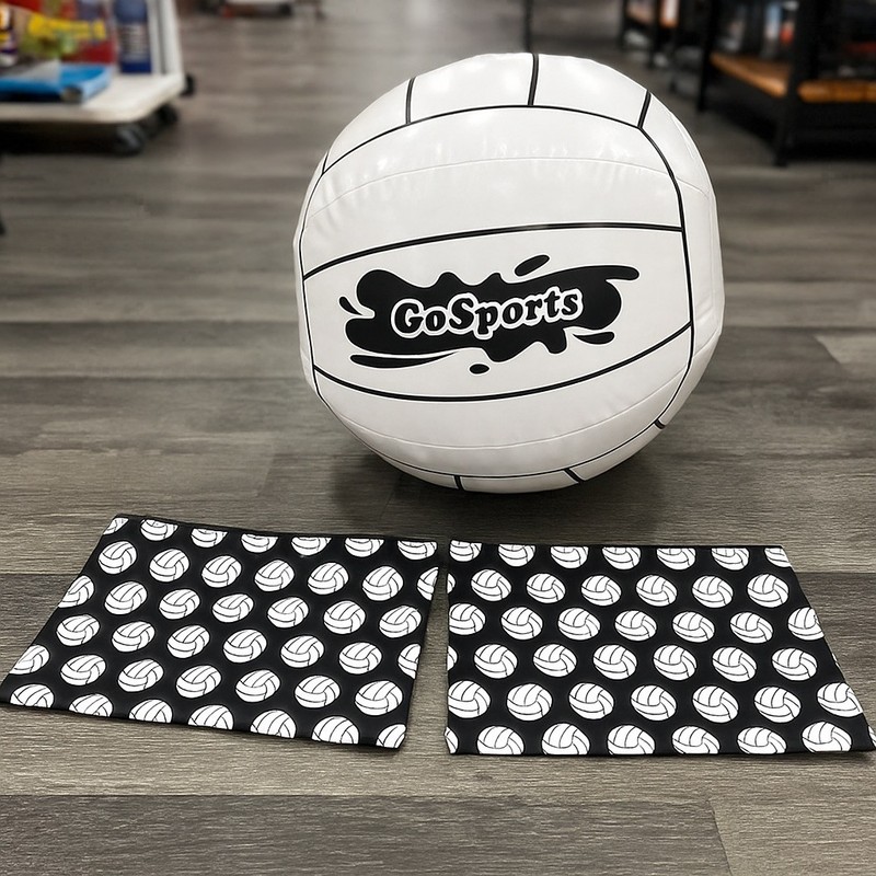 Volleyball bag and blow up ball