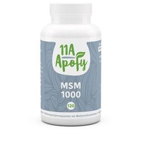 Msm 1000 Tabletten 120 St Pzn 16044330