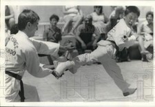 1987 Press Photo Paul Sung and Byron Petraroja in Tae Kwon Do Demonstration
