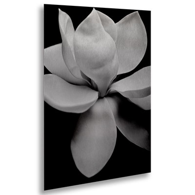 Trademark Fine Art 16x22-Inch Magnolia