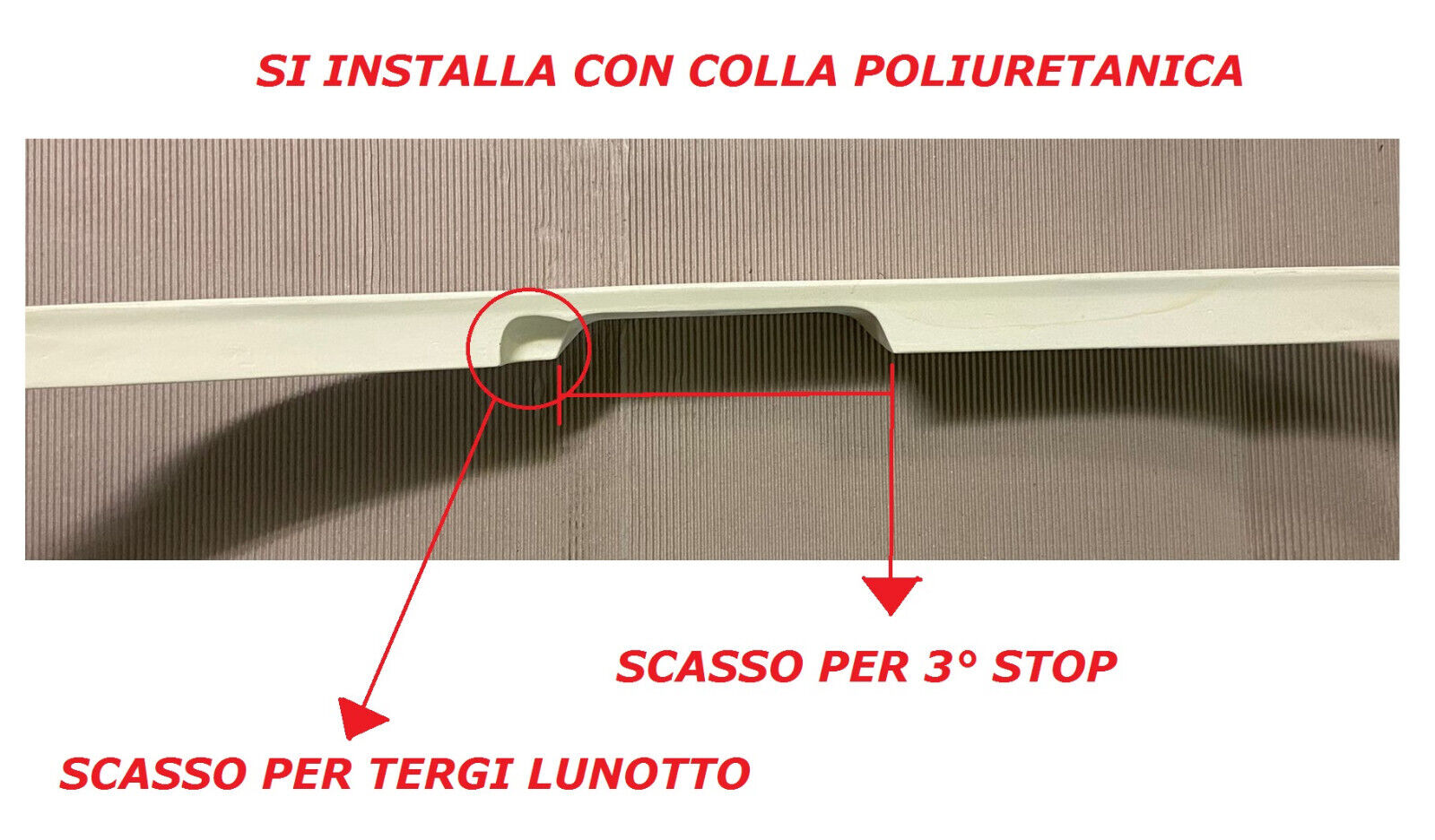 Foto 7 di 7