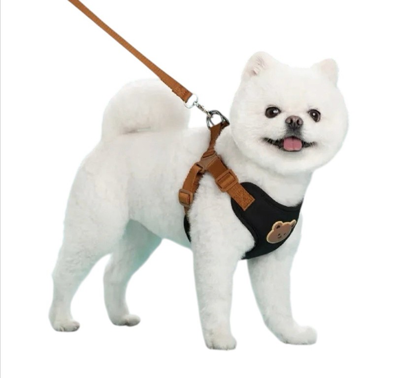 Black (Size Large) Dog/Cat Harness and Leash Set For Small and Medium Pets