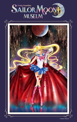 Sailor Moon Official Limited Manga Art Framed Paintings Reproduction Takeuchi - Picture 6 of 6