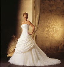 Justin Alexander Ivory size 12 wedding dress