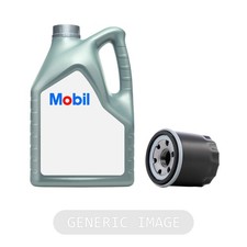 Service Kit MOBIL Engine Oil ESP X2 0W-20 20L + MANN Oil Filter Fits Lexus NX RX 6.87 per litre