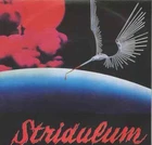 Franco Micalizzi Stridulum 7'' (black vinyl) Tava Tava Rare The Visitor OST