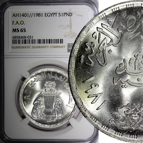 Egypt Silver AH1401  1981 1 Pound FAO - Work and Food for all NGC MS65 KM#532(1)