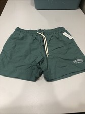 PacSun Green Collegiate 6" Swim Trunks Green S