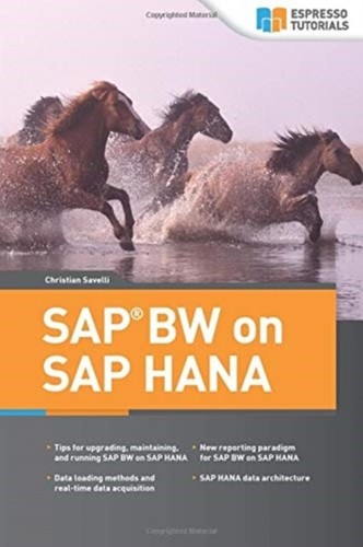 Savelli - SAP BW on HANA - New paperback or softback - P555z - 第 1/1 張圖片