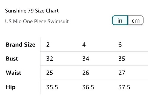 Sunshine 79 Women's Standard Plunge Mio One Piece Swimsuit, Retro Swirl 6 $128 - Picture 3 of 3