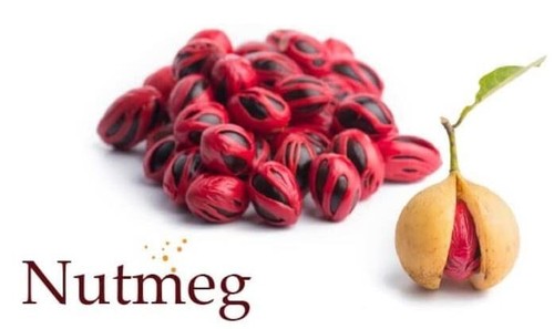 2 x 10g Hurix's Salap Pala Penang Nutmeg Balm Relieve Cold, Headache, Block Nose - Picture 7 of 7