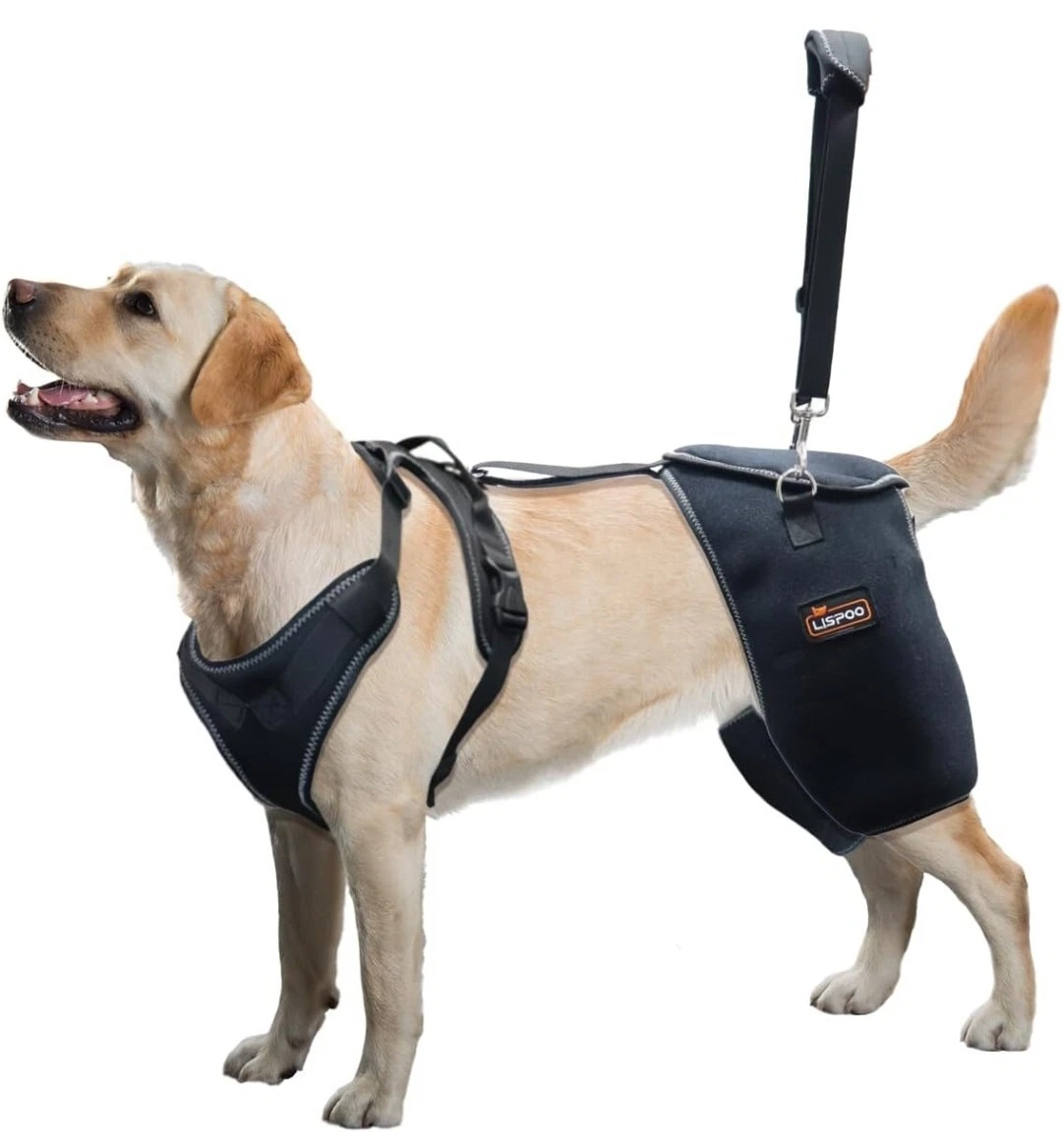 Dog hip dysplasia harness sales