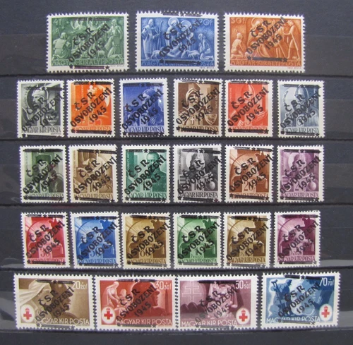 Hungary 1945  Czechoslovakia  Metuji   MNH Privat issue set