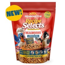 Dried Mealworms for Birds Bluebird and Wild Bird Food for Outside Feeder 17.6 oz