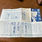 Foto 7 di 7