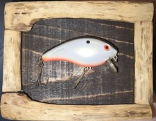 Mann's 1 Minus Crank Bait 3.25" Late 80's Mounted On Oak Back, Maple Frame.