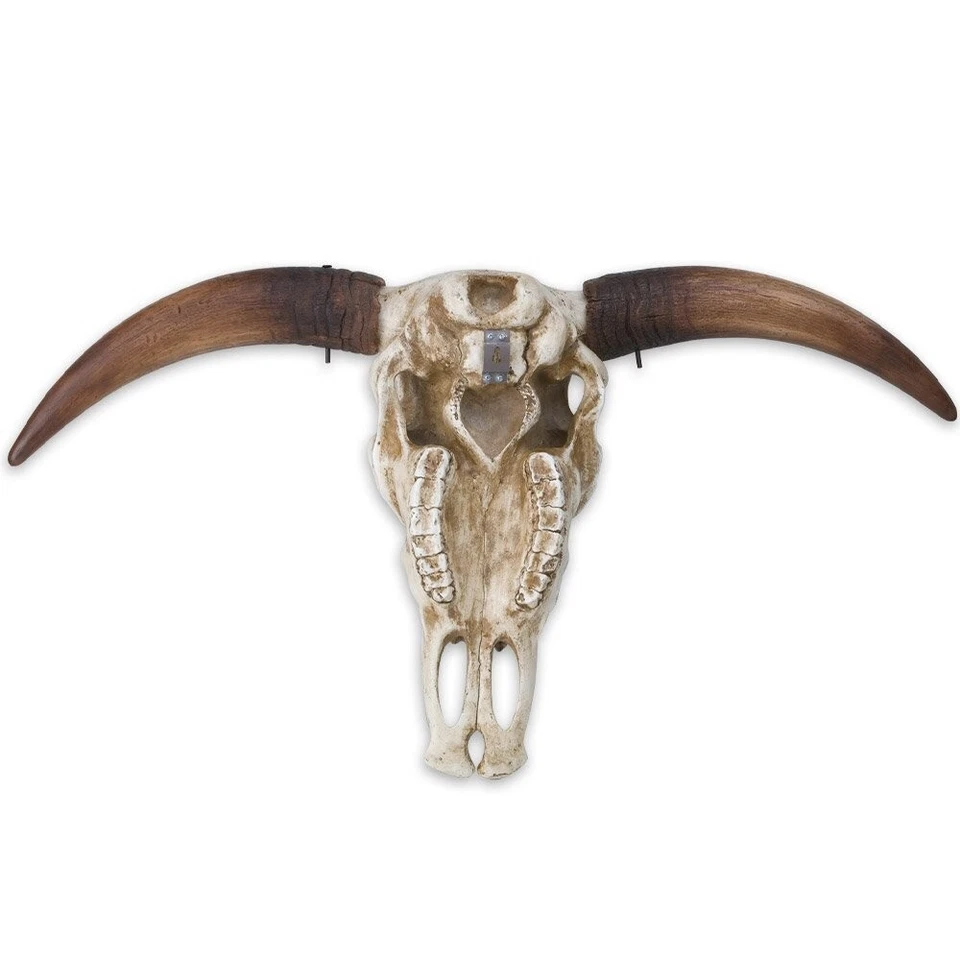 Massive Full Size Bull Steer Skull - Image 3 of 3