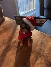 NWT NEW Wondershop Resin Rottweiler Dog Christmas Ornament Cute