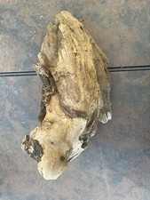 Natural Driftwood for Plants Terrarium Taxidermy Art Projects