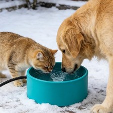 3.2L Heated Water Bowl for Outdoor Dogs Cats - 30W Thermostatic Control Heati...