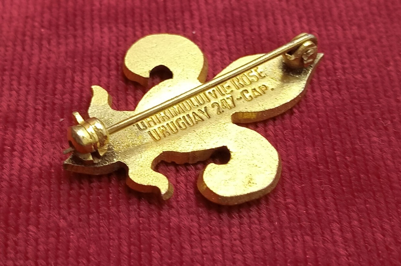Picture 4 of 5