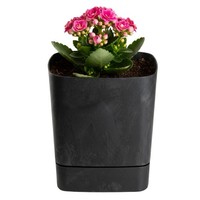 Howhomely Blumentopf Pflanzentopf Mit Untersetzer BlumenküBel Schwarz 16X16Cm
