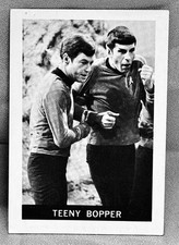 1967 STAR TREK # 23 - Teeny Bopper (LEAF BRANDS)