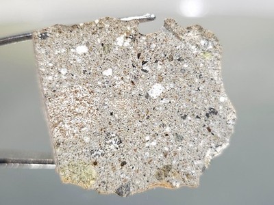 NWA 17675, Howardite, 7.72g, meteorite part end cut polished faces, rare class