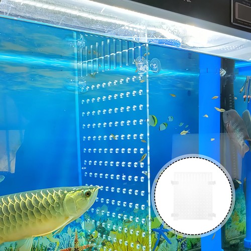 1pc Fish Tank Acrylic Divider Board with Suction Cup - Mixed Breeding to Keep... - Picture 5 of 9