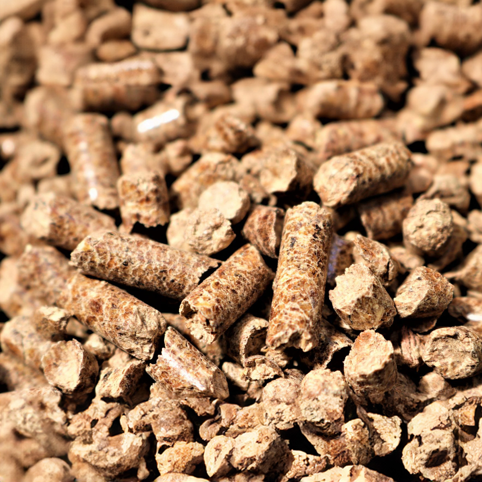 Bear Mountain BBQ Holiday Turkey Blend Maple, Hickory, & Cherry Pellets, 20 lbs