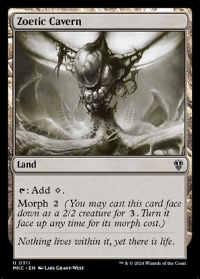 *MtG: 4x Zoetic Cavern - Commander Murders at Karlov Manor UC - magicman*