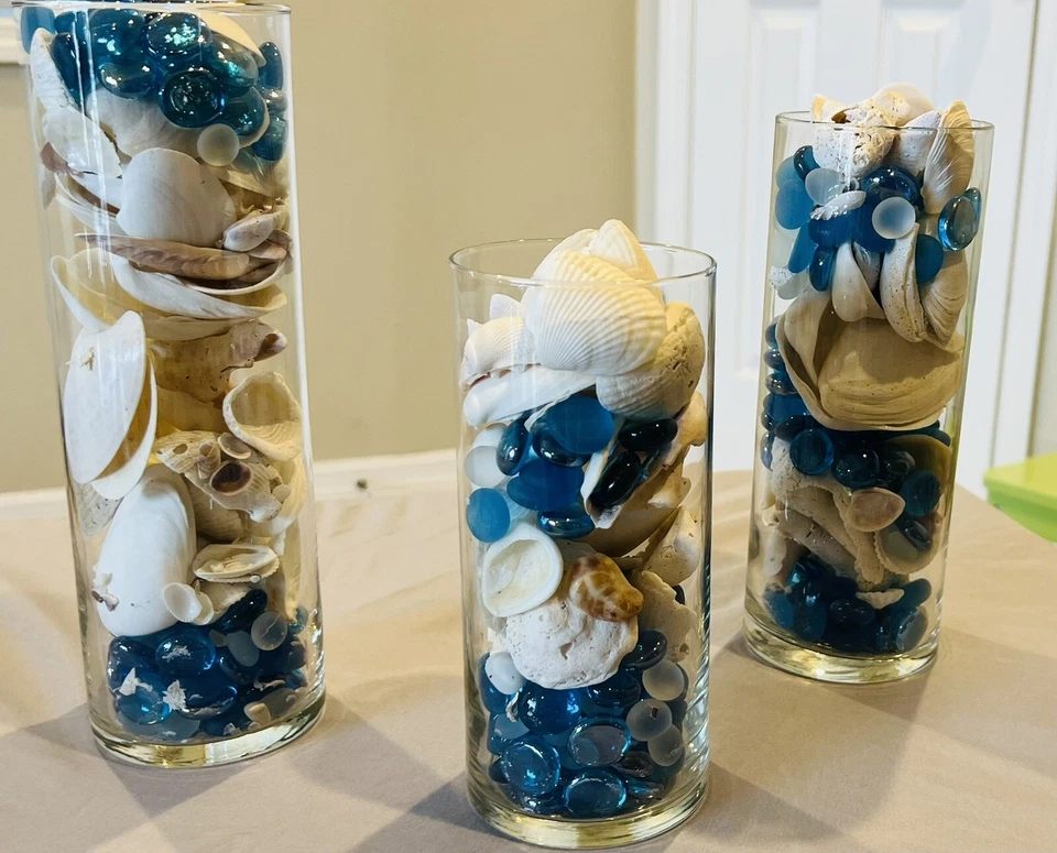 Florida Seashells Juego de 3 jarrones de vidrio llenos de conchas de la Costa del Golfo Decoración del hogar Foto 4 de 4