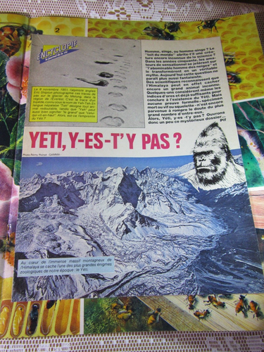 428Y Revue Je Sais Tout N° 10 Le Roman du Tour de France 26.4 X 33 cm 17/06/1969 - Picture 4 of 12