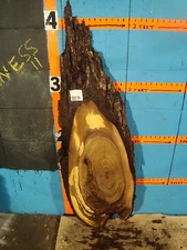 #8870   1 11/16" THICK  WOW black walnut live edge slab table top lumber wood