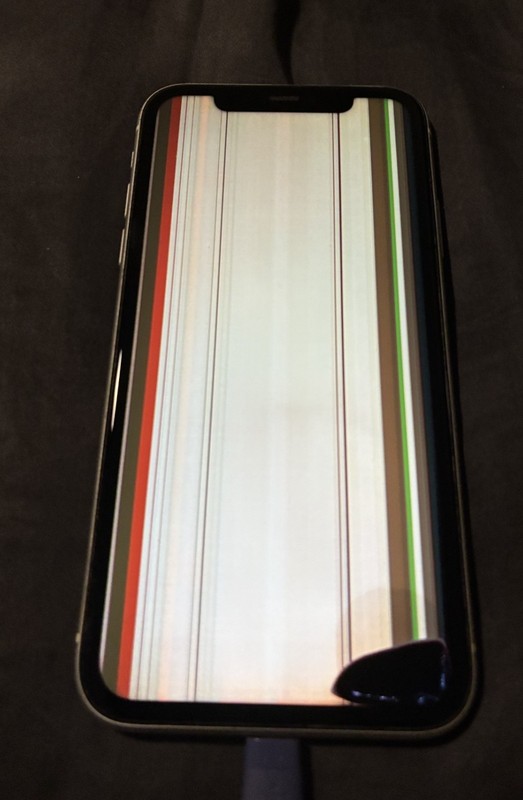 Apple iPhone 11 - 64 GB - White - Does Not Work / Water Damaged! Box Included