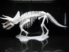 3D Printed Triceratops Skeleton Fossil Replica Prehistoric Display Model