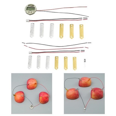Bio Energy Science Kits Children Educational Project Lemon Battery Kits DIY