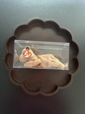 Ty Beanie Babies Collection  1995 Derby In Display Case