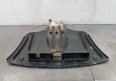 2020 Ford Mustang Shelby GT500 Rear Close Out Panel Diffuser #5291 VV6