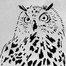 Realistic Owl Stencil - Majestic Reusable Wall Art Template for DIY Crafts -  