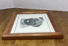 Picture 6 of 14