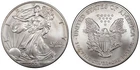 2001 US Mint American Silver Eagle Fine .999 Bullion Coin UNC ~ Free Shipping