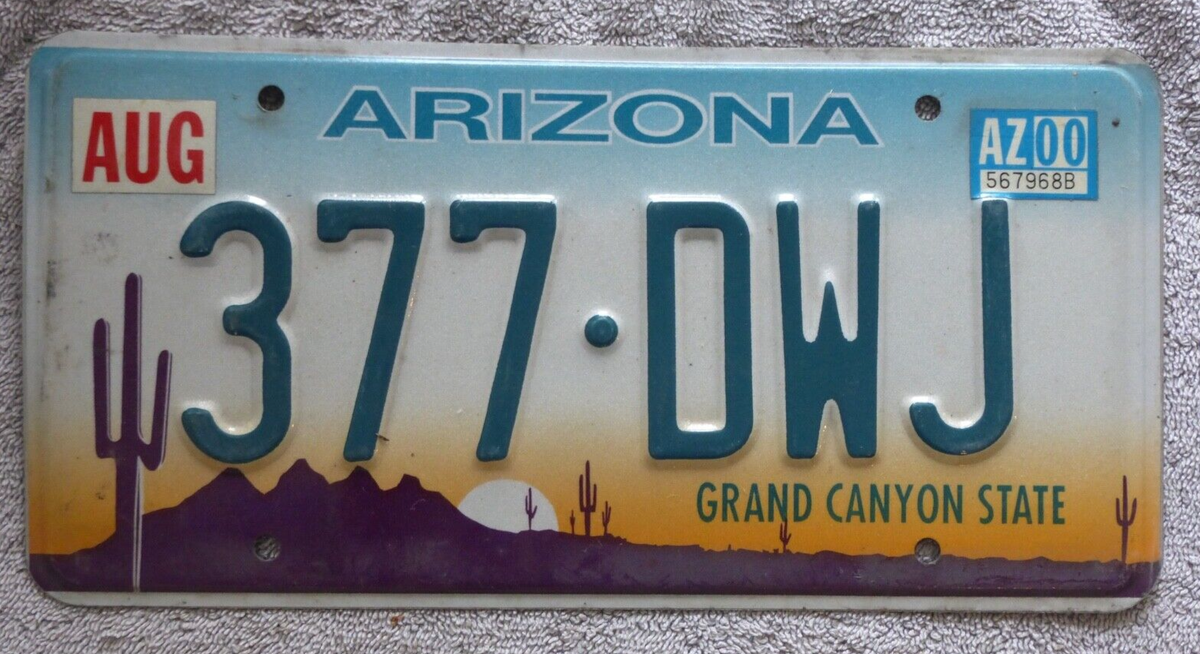 Vintage Arizona License Plate 377 DWJ metal art cactus sunset